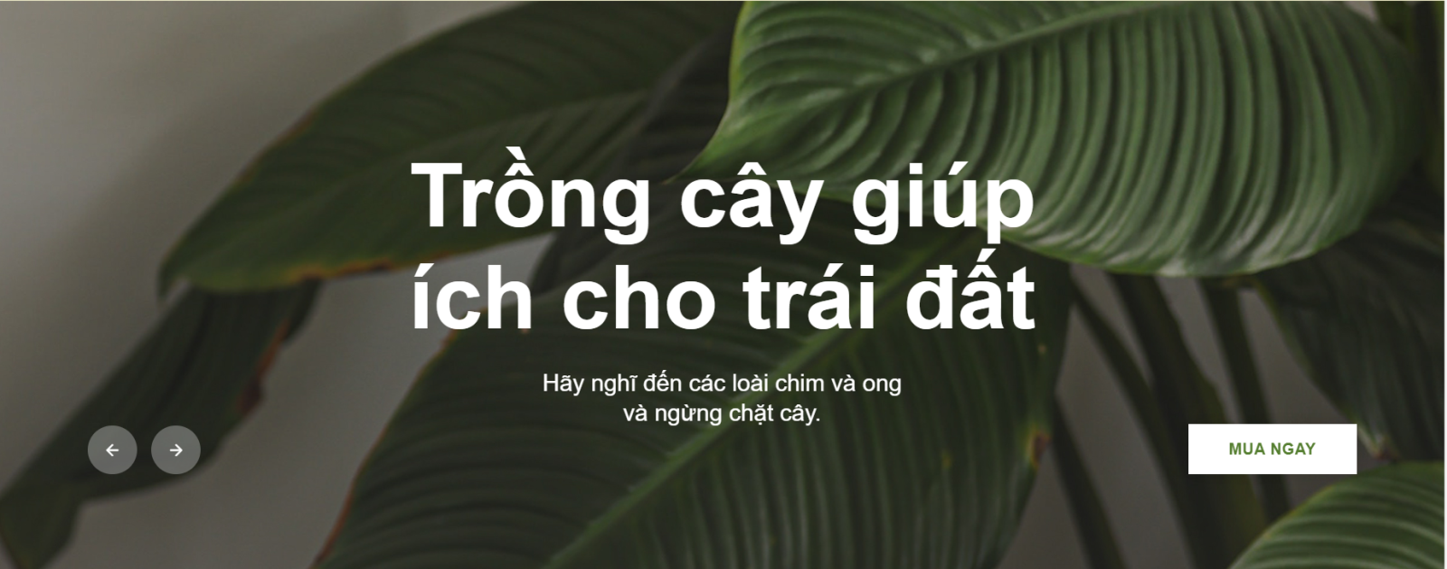 Shop bán hàng 5